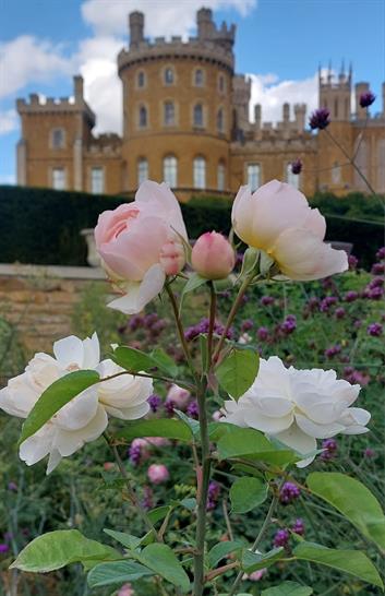 Belvoir Castle